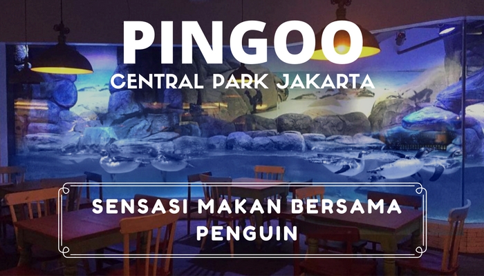 Pingoo Tempat  Makan Bersama Penguin di  Central  Park  Jakarta