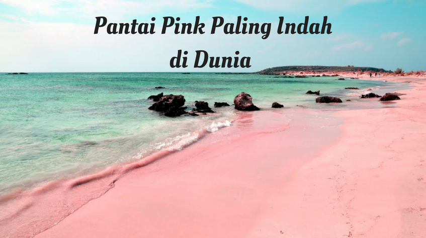 7 Pantai Pink Paling Indah di Dunia yang Wajib Dikunjungi