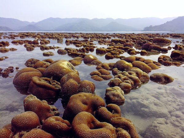 tempat wisata lampung pulau balak