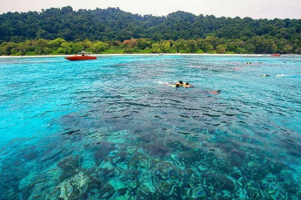 Liburan Bareng Pacar Yuk Singgahi 5 Tempat Wisata Lombok 