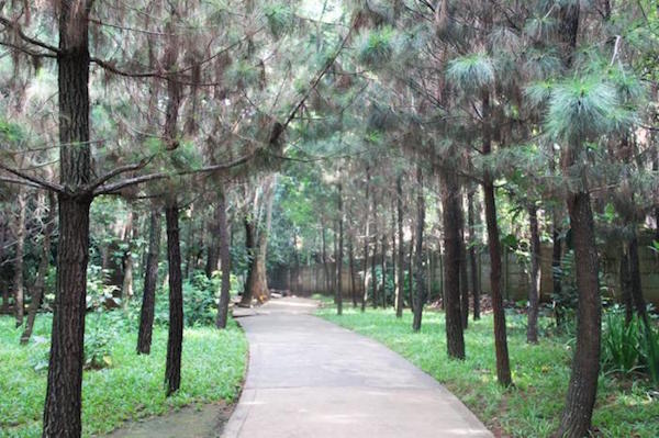 Tempat Nongkrong Di Tangerang Yang Asik Buat Kamu Yang Lagi