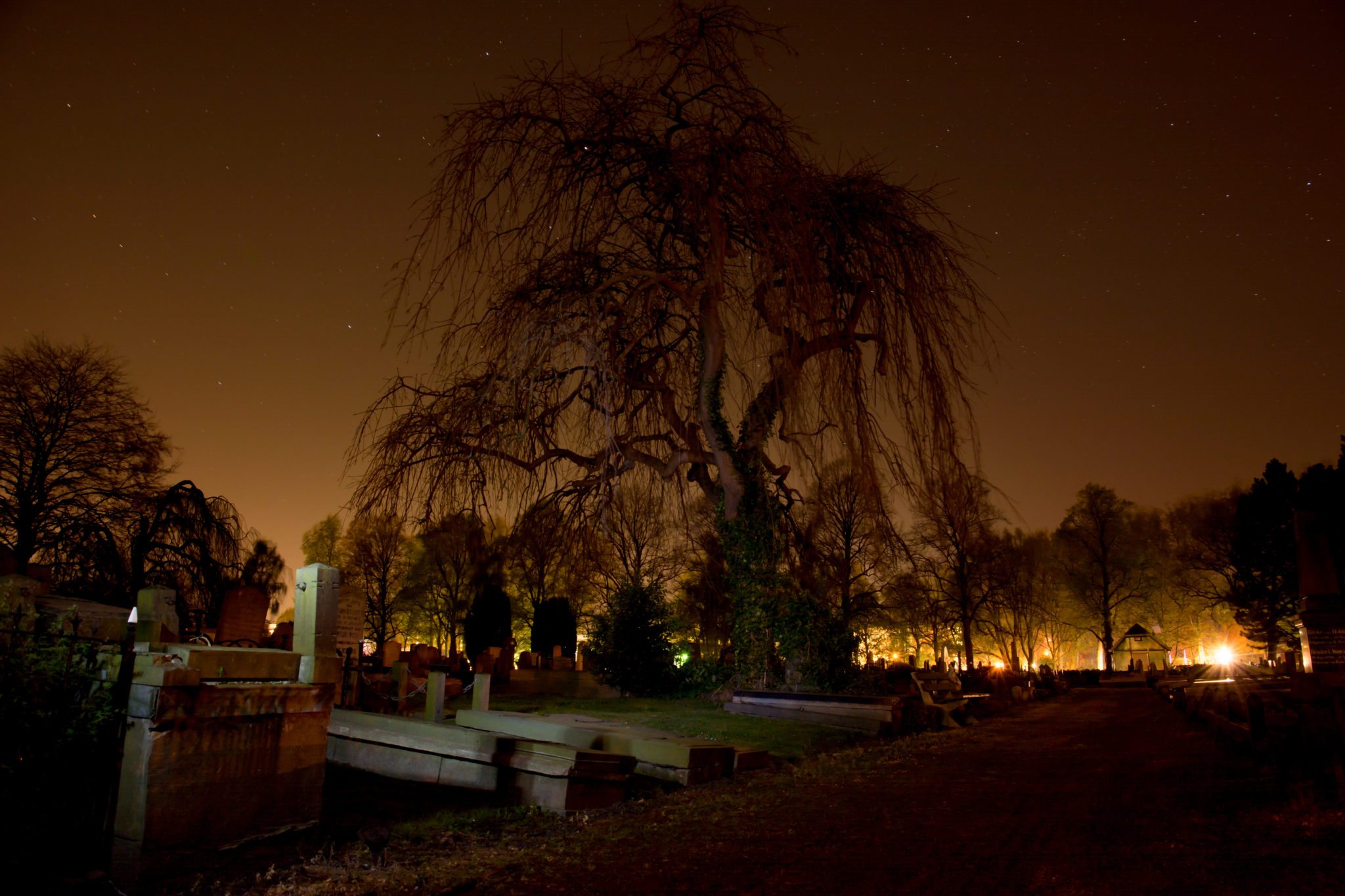 7 Fakta Unik Halloween Yang Harus Kamu Tahu