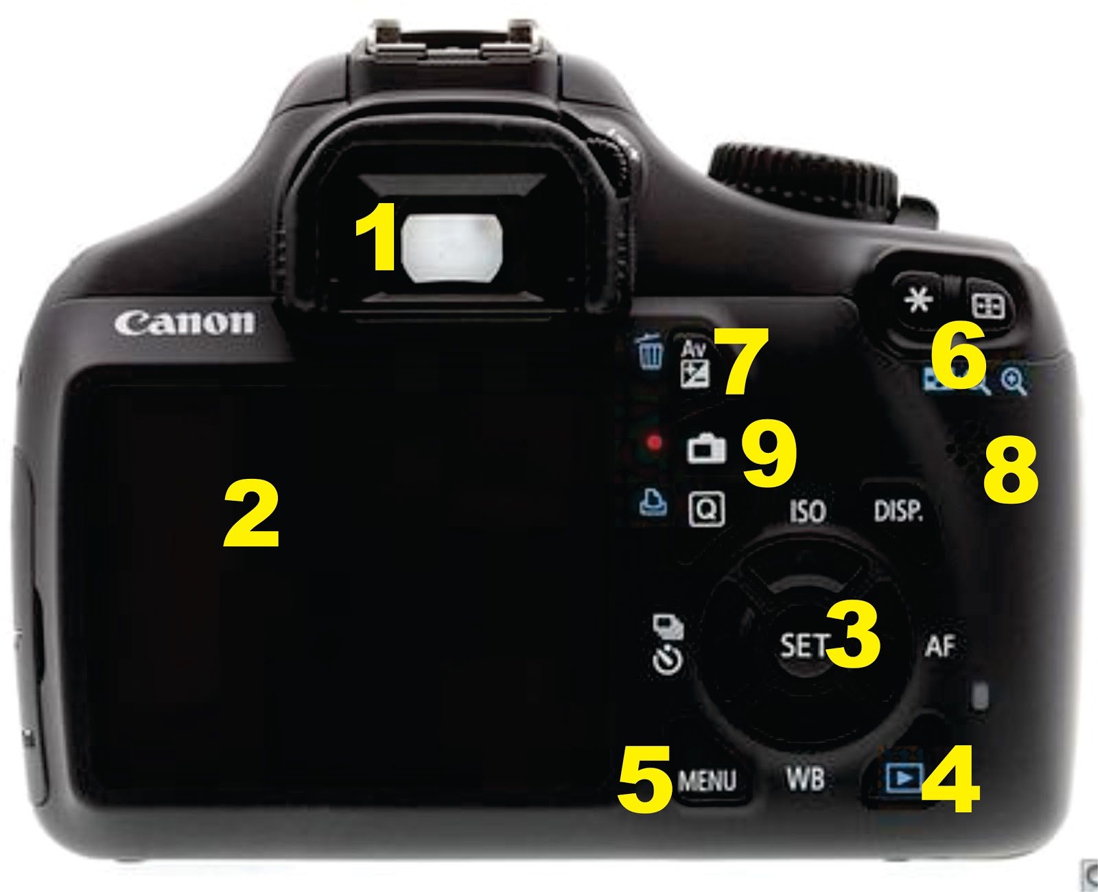 10 Teknik dan Cara Menggunakan Kamera DSLR Canon Bagi Newbie