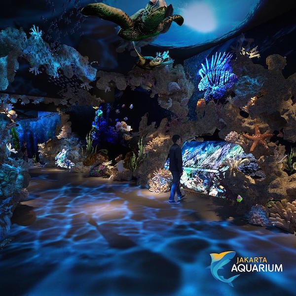 Image result for zona diving deep jakarta aquarium