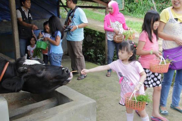 35 Tempat Wisata Anak di Bandung yang Menyenangkan dan ...