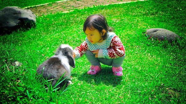 34 Tempat Wisata Anak Di Bandung Yang Paling Menyenangkan