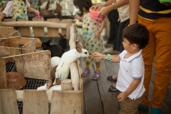 35 Tempat Wisata Anak Di Bandung Yang Menyenangkan Dan Wajib