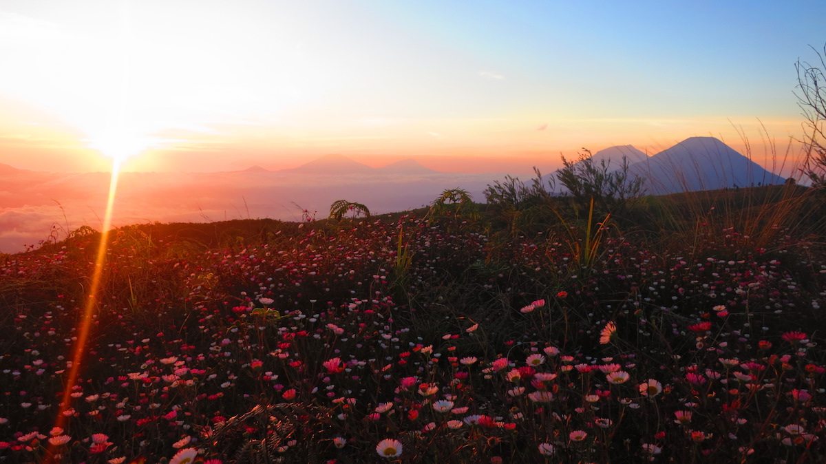 Ini 7 Gunung Favorit Pendaki Pemula Di Pulau Jawa