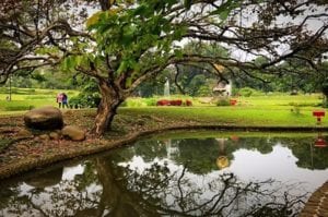 Kebun Raya Bogor Punya 12 Spot Wisata Menarik Untuk Dikunjungi