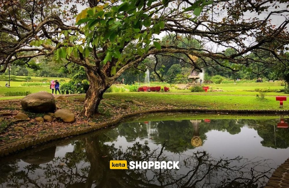 Kebun Raya Bogor Punya 12 Spot Wisata Menarik Untuk Dikunjungi