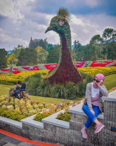 Taman  Bunga  Nusantara  Segala Hal yang Perlu Kamu Ketahui