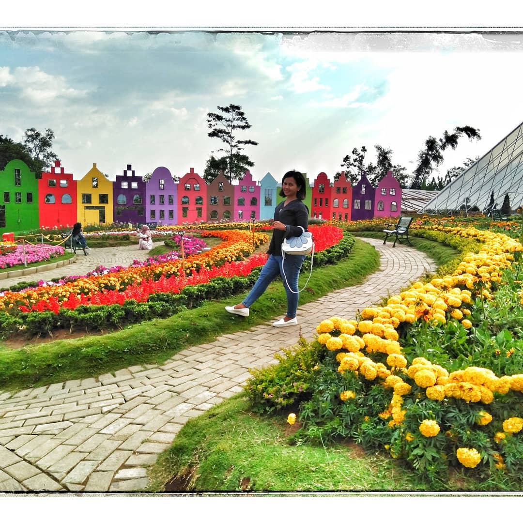  Taman  Bunga  Celosia  Destinasi Wisata Semarang Wajib Kamu 