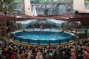 Taman Safari Prigen Jawa Timur, Serunya Melihat Satwa dari Jarak Dekat