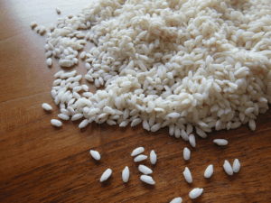 jenis beras