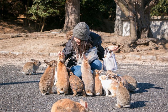 Cuteness Overload These 3 Kawaii Places Do Exist And They Are Adorable