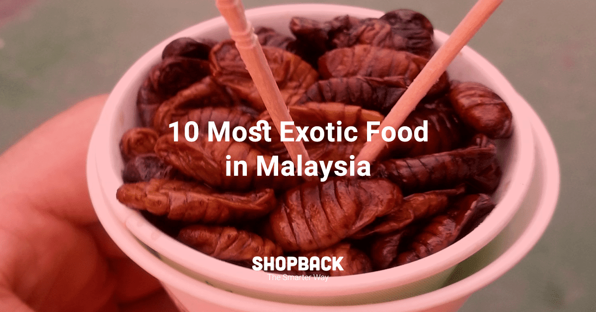 10 Most Exotic Food In Malaysia We Dare You To Try