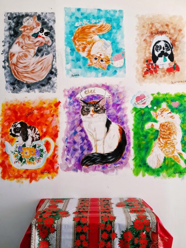 Panda Pet House Cafe with Cat Murals