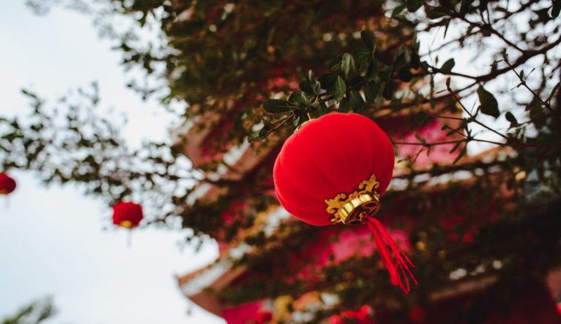 Red lantern hanging on a tree with the pagoda tower in the background
