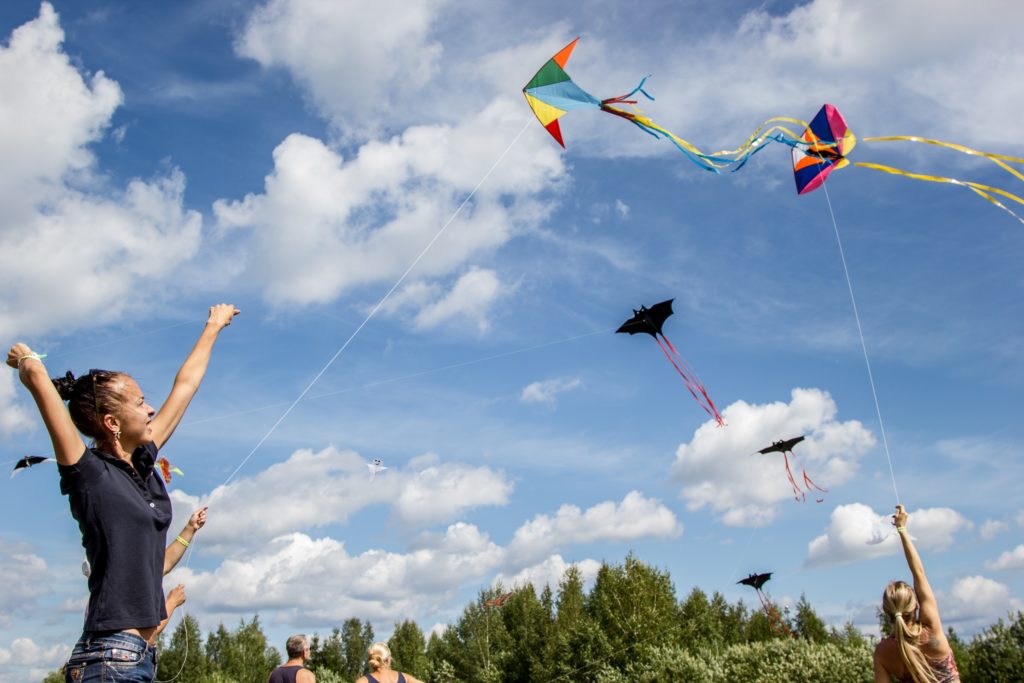 Kite flying in the park 