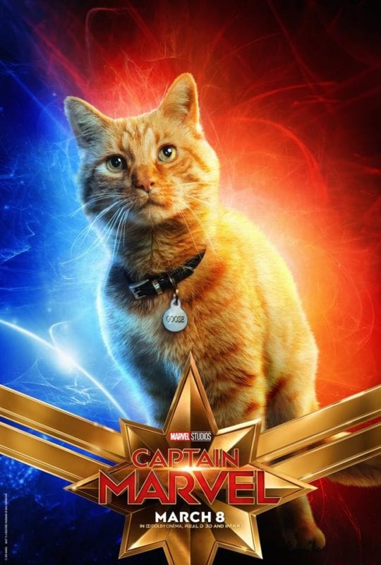captain marvel cat poster