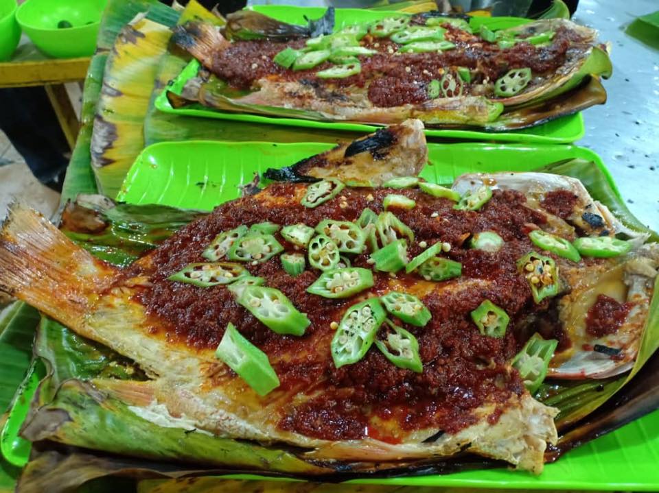 Grilled fish on green plates with vege garnish