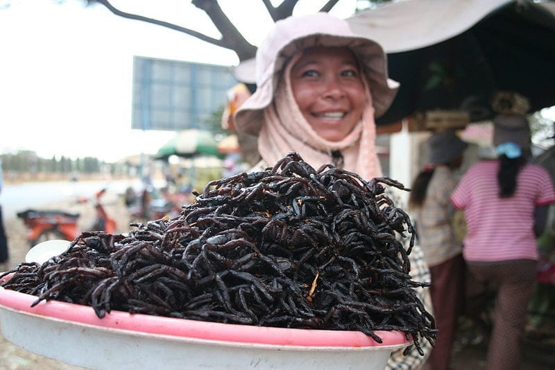 fried spiders skuon cambodia