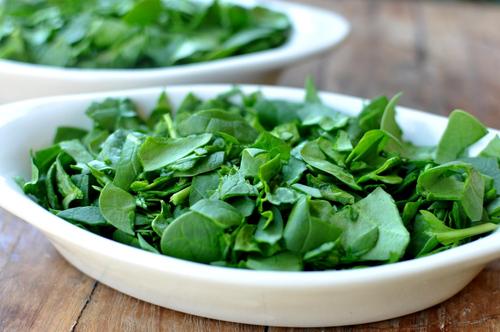 salad-greens