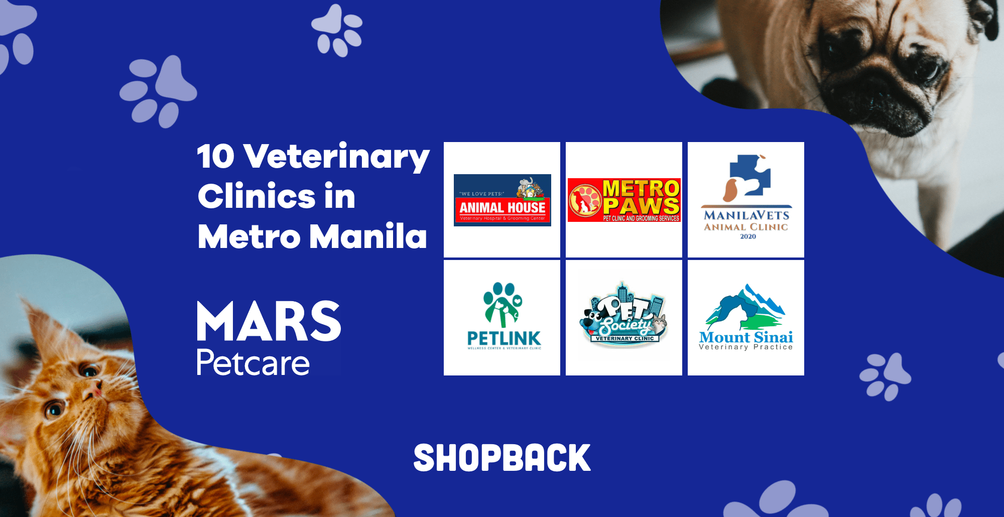 10 Veterinary Clinics That Are Open To Accommodate Your Pets | ShopBack  Philippines