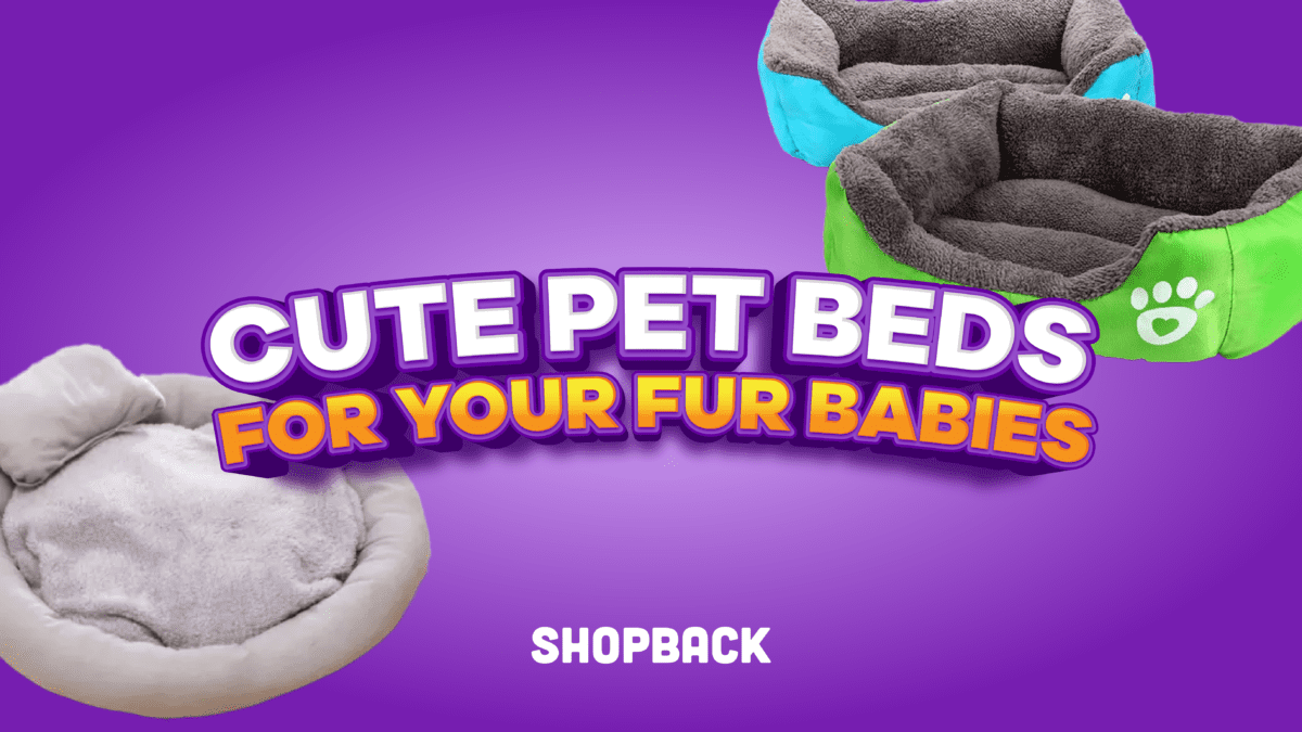 LIST: Here Are Cute Pet Beds For Your Fur Baby