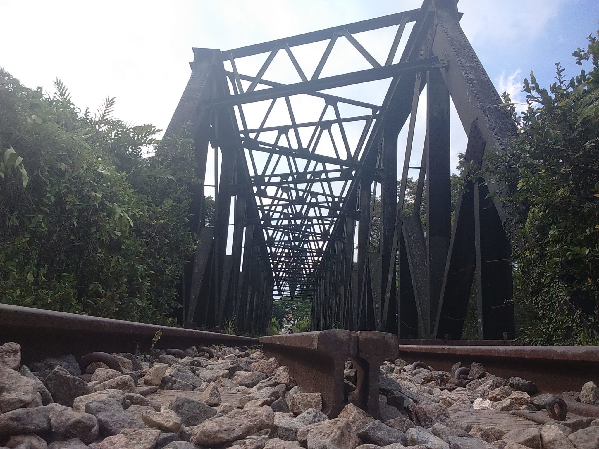 Bukit Timah Railway Tracks