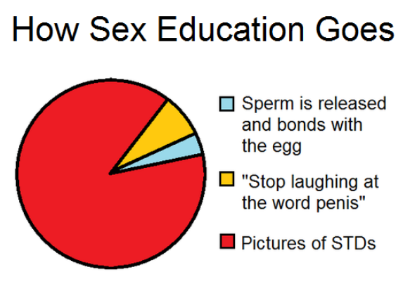 how sex education goes