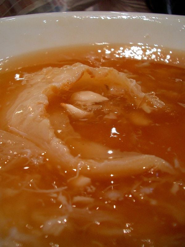  shark fin soup 