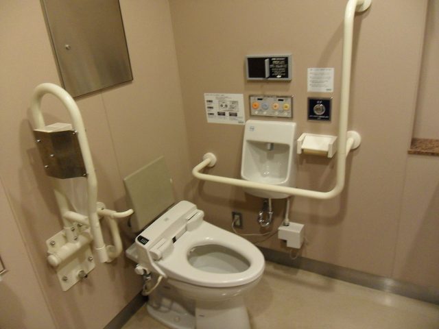 Handicap toilet