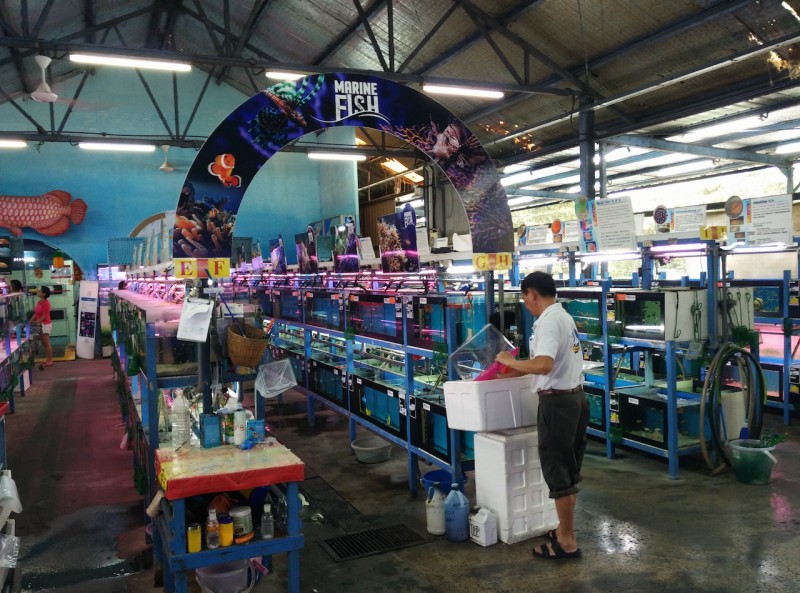qian hu fish farm