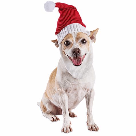 Red Knit Santa Hat for Dogs