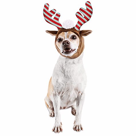 Reindeer Antler Dog Headpiece