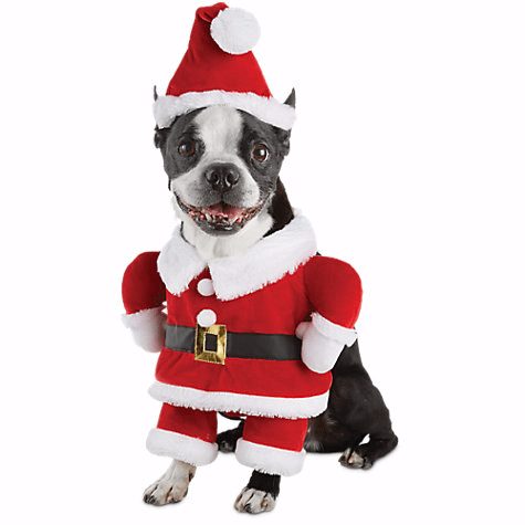 Santa Illusion Costume for Dogs
