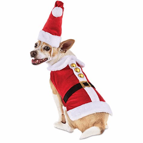 Santa Suit for Dogs