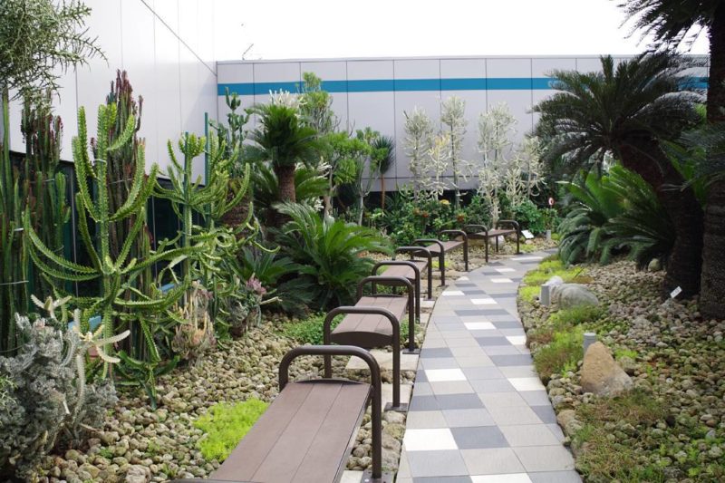 Cactus Garden in Changi Airport Terminal 1