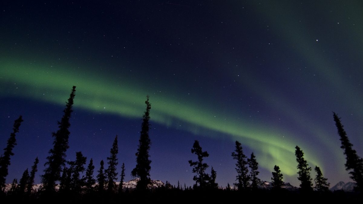 When, Where, and How to See the Aurora