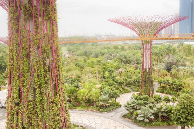 gardens by the bay 