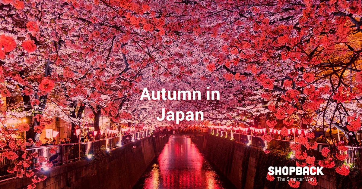 Autumn Travel in Japan: Take the Train on The New Golden Route