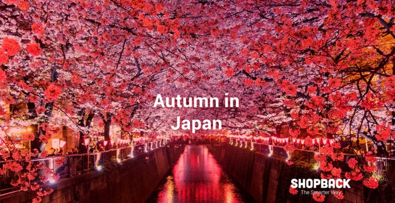 autumn in japan golden route train