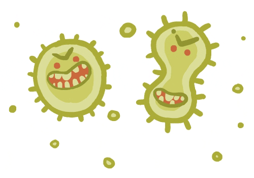 Animated Bacteria