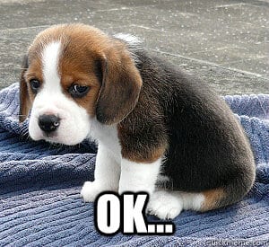 Sad Ok Puppy