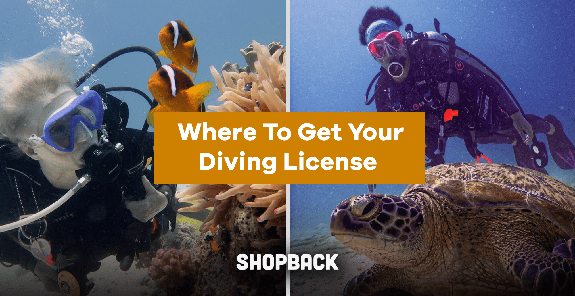 Permission To Dive Where To Get Your Diving License In Singapore