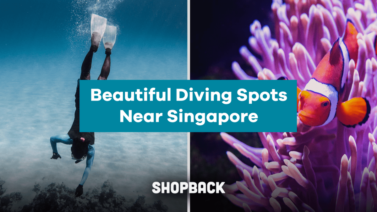 Dive Deep and Explore The Best 5 Diving Spots Near Singapore