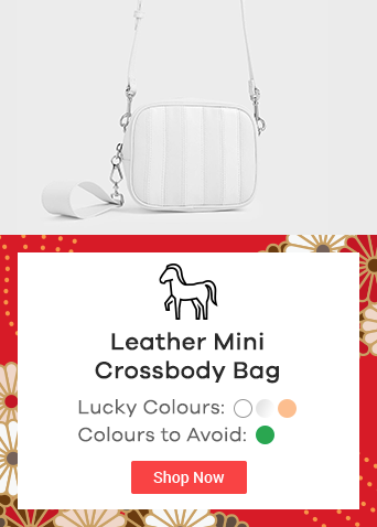 white leather mini crossbody bag