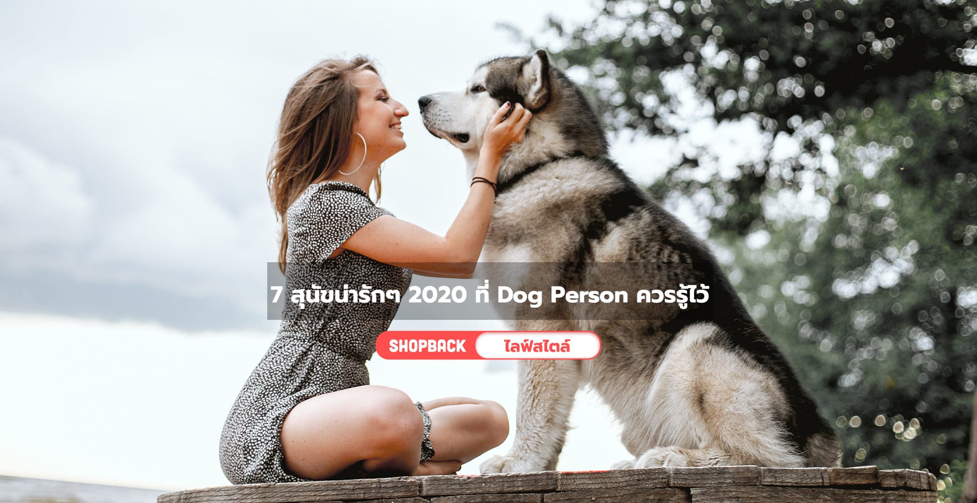 รวม 7 สุนัขน่ารักๆ 2020 พันธุ์น่ารักน่าเลี้ยง ที่ Dog Person ควรรู้ไว้