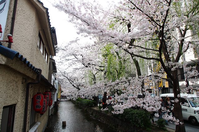 日本旅遊 10個京都免費景點 日本自由行這樣玩最省